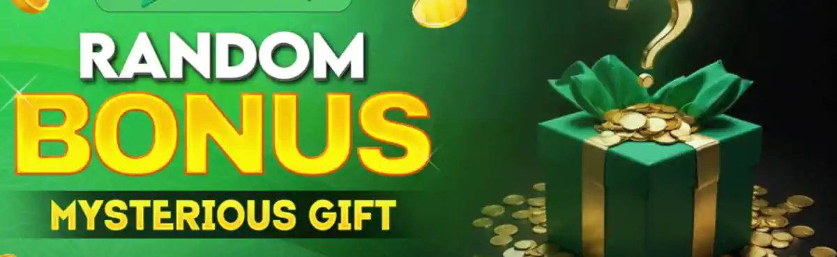 Bonus 3